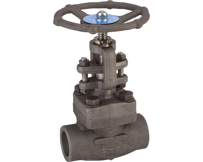 Carbon steel A350LF2 globe valve 420 TRIM 12 1500 lbs NPT 1/2''